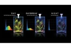 Aquael Shrimp Set Day And Night 10 Akvaryum (SİYAH)