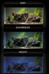 AQUAEL OPTI SET 240 SİYAH (121x41x56cm)