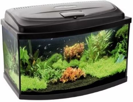 Aquael AQUA 4 KIDS Oval Cam (Siyah)