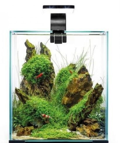 Aquael Shrimp Set Day and Night 30 Akvaryum (BEYAZ)